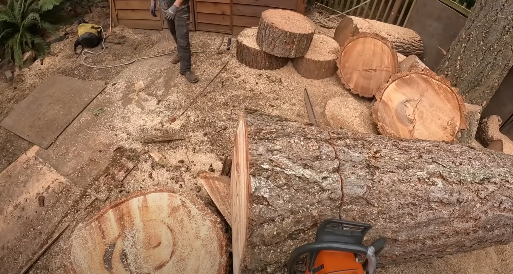 Stump Grinding & Removal service in Florence-Graham, CA
