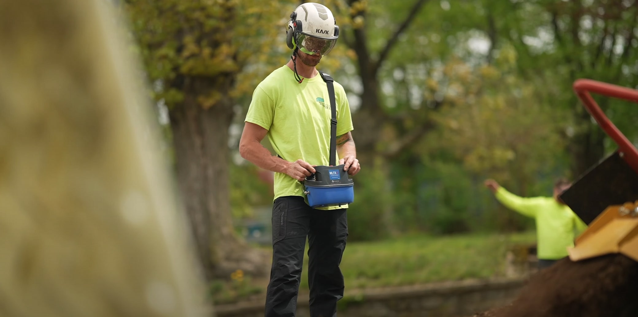 Emergency Tree Services service in Florence-Graham, CA